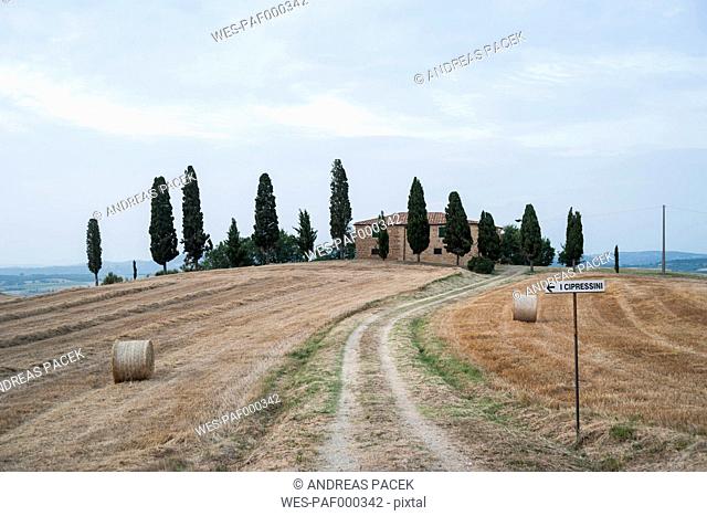 Italy, Tuscany, house with row of cypresses in front