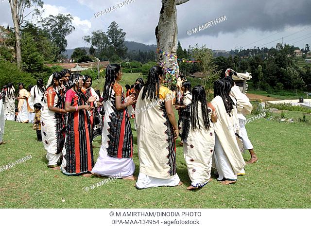Toda women sang and danced in a circle during Toda wedding ; Nilgiris ; Tamil Nadu ; India
