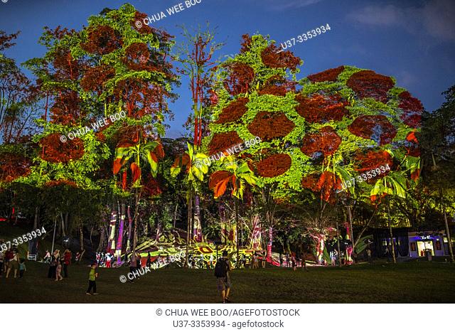Rainforest In The City at Amphitheatre Kuching, Sarawak, Malaysia