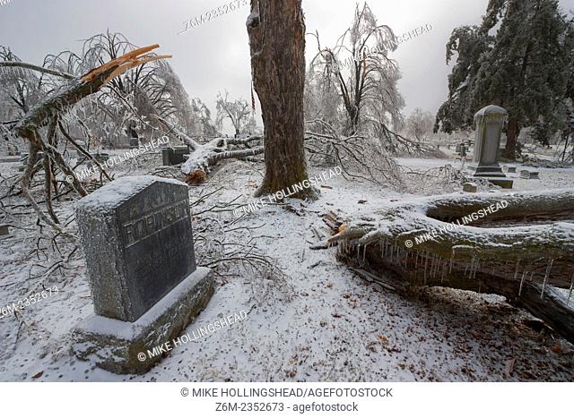 Ice storm devistates the Springdale Arkansas Cemetery and other areas of northwest Arkansas January 27-28, 2009. Many areas recieved over 1 inch ice...