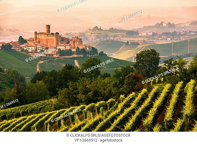 Italy, Piedmont, Cuneo District, Langhe - summer at Castiglione Falletto
