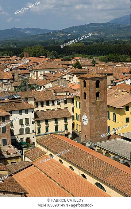 View of the town from the Torre Guinigi
