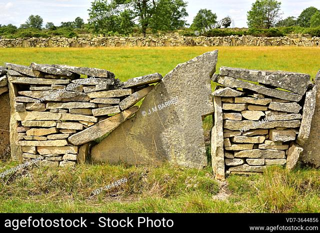 Dry stone wall with field (cortina). Sayago, Zamora province, Castilla y Leon, Spain
