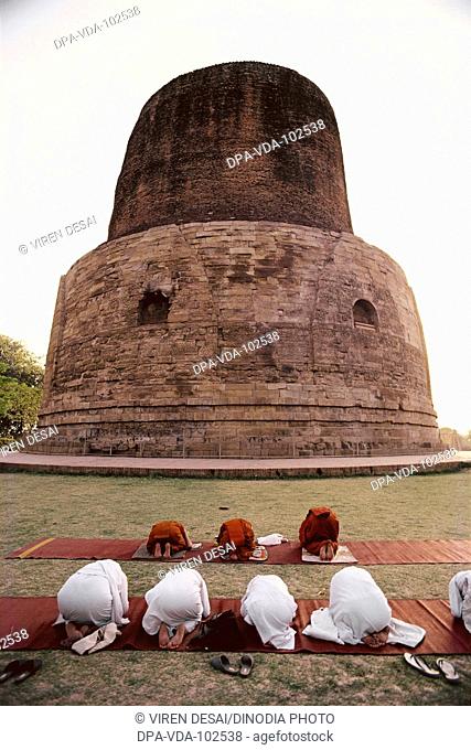 Buddhist monks bowing in prayer ; Sarnath ; Varanasi ; Uttar Pradesh ; India