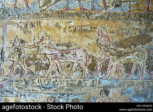 Painted engravings in the tomb of Renni, El Kab necropolis on the east bank of the Nile, Egypt, Northeast Africa