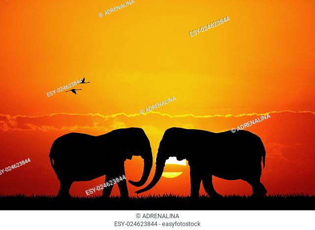 illustration of elephants in love at sunset