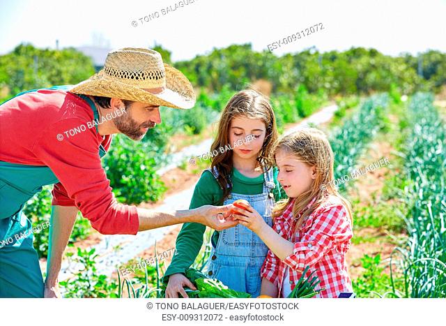Farmer man showing vegetables harvest to kid girls in orchard