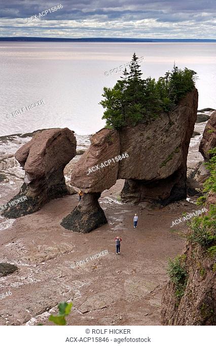 Flowerpot Rocks, Hopewell Rocks, Hopewell Cape, Shepody Bay, Chignecto Bay, Bay of Fundy, Albert, Highway 114, Fundy Coastal Drive, New Brunswick, Canada