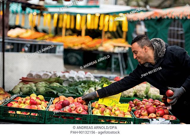 Der Mitarbeiter eines Obst- und Gemüsestandes legt am 11.04.2017 in Frankfurt am Main (Hessen) Äpfel auf den Verkaufstisch