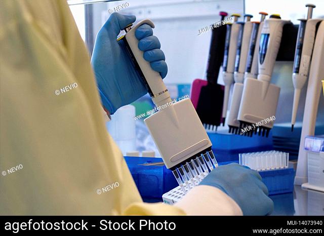 research scientist pipetting reagents to a plate using a multichannel pipette