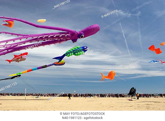 Kites in Malvarrosa beach, Valencia, Spain