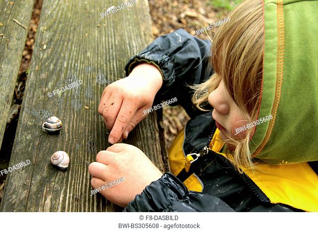 White-lip gardensnail, White-lipped snail, Garden snail, Smaller banded snail (Cepaea hortensis), little boy playing with snails, Germany