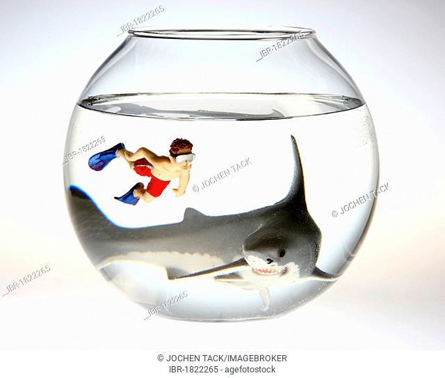Toy shark and a boy swimming with diving goggles and flippers in a fish bowl