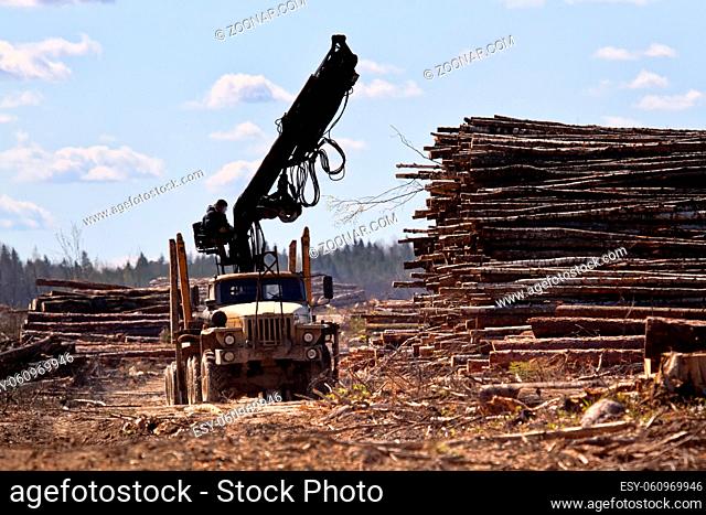 Forest industry. Operations for loading-unloading logging truck at felling (cutover area) and logging site (wood storage place)
