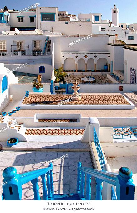 roof top garden of a traditional Arabian house at the artist village of Sidi Bou Said, Tunisia
