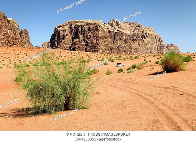 Mountains, vast plains, desert shrubs and an off-road vehicle, Wadi Rum, Hashemite Kingdom of Jordan, Middle East, Asia