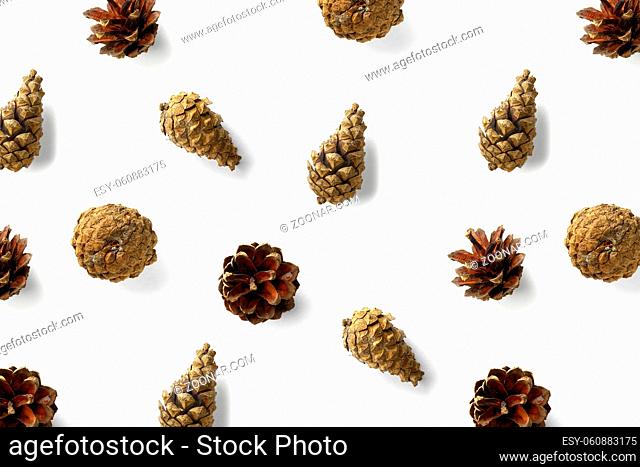 Creative Pine cone Christmas background on white. Pine branches and cones. minimal creative cone arrangement pattern. flat lay, top view