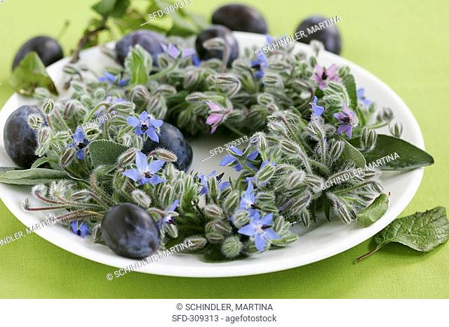 Wreath of borage, sage and plums