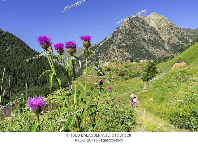 granjas de biadós, Valle de Añes Cruces, parque natural Posets-Maladeta, Huesca, cordillera de los Pirineos, Spain