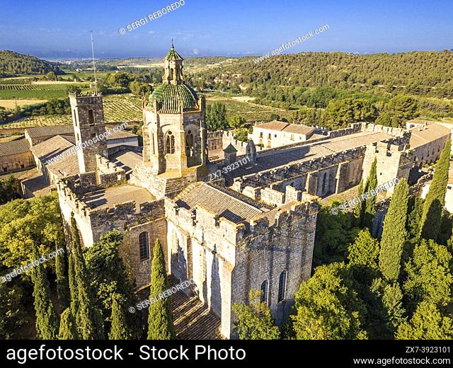 Aerial view of Cloister of Monestir de Santa Maria de Santes Creus, Cistercian abbey, monastery, church, Santes Creus, Aiguamurcia Tarragona, Catalonia, Spain