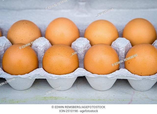 Eggs for sale at a Farmers Market
