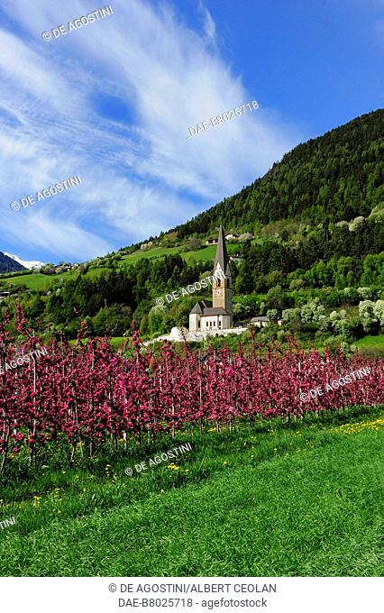 St George of Agumes church, Prato allo Stelvio, Vinschgau valley, Trentino-Alto Adige, Italy