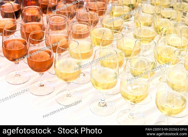 SYMBOL - 13 September 2023, Baden-Württemberg, Balingen: Rosé wine and white wine is on a table at an event. Photo: Silas Stein/dpa
