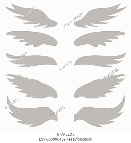 illustration with wings silhouettes on white background