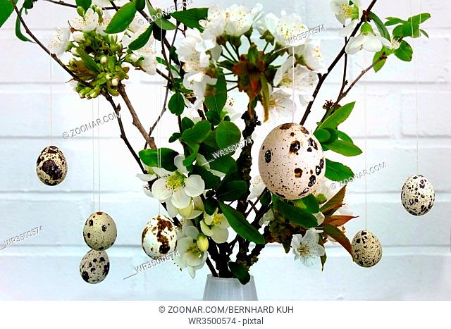 Oesterlicher Strauss mit Kirschblueten und in den Zweigen befestigten Wachteleiern. Querformat. Easter bouquet with cherry blossoms and quail eggs attached in...