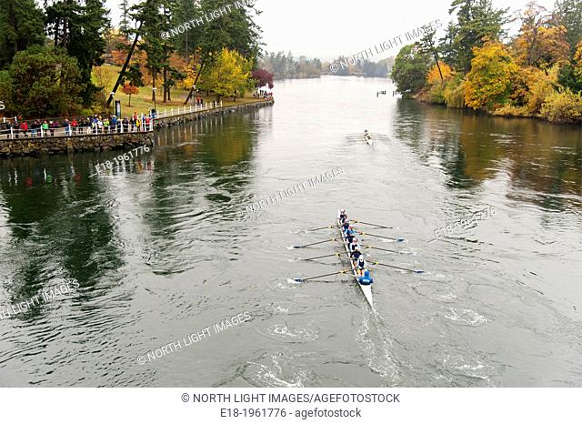 Canada, BC, Victoria. Gorge waterway. An eight person rowing shell in the Head of the Gorge rowing regatta