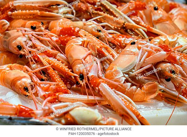 fresh seafood, Palma de Mallorca, April 13, 2019 | usage worldwide. - Palma de Mallorca/Balearen/Spain