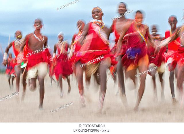 Masai Olympics: group of over 20 Masai warriors, all dressed in traditional red and blue shukas, running race on dusty plains, towards viewer