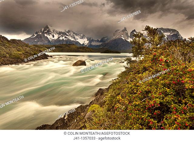 Rainstorm engulfs Cuernos del Paine peaks, Lago Pehoe rapids, 'Seven shirts - siete camisas colorado' in flower Escallonia rubra