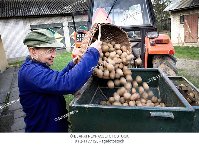 Farmer with potatoes ready for seeding.  Gmina Przylek, Zwolen county, Poland