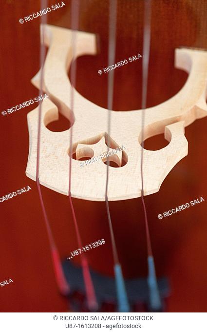 Italy, Lombardy, Cremona, Violin Maker Worshop, Close up Violin