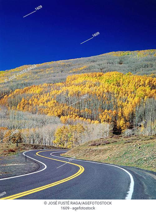 Dixie National Forest. Utah. USA