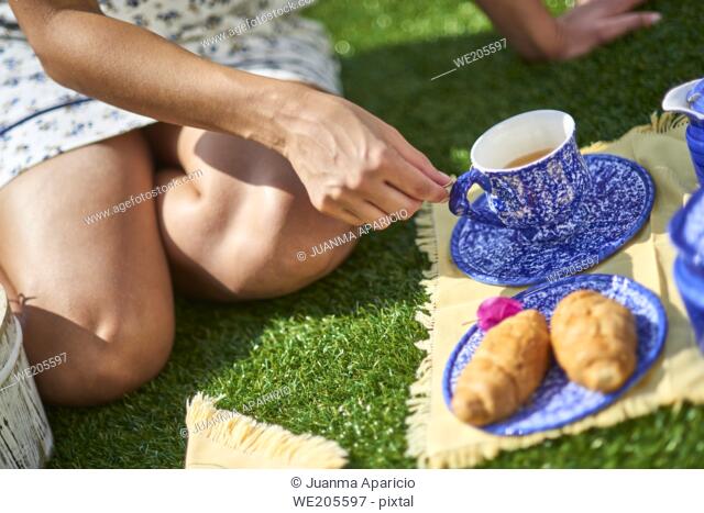 Detail of woman sitting on the grass with cup of tea in the picnic