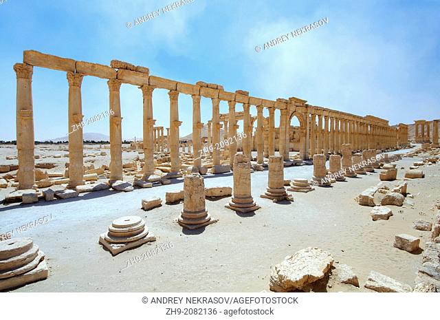 The ruins of the ancient city of Palmyra, Syria