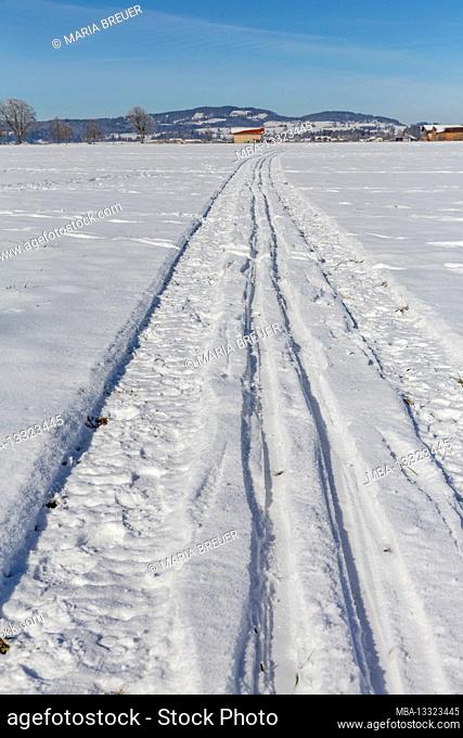 Tracks in the snow, Schwangau, Füssen, Allgäu Alps, Allgäu, Bavaria, Germany, Europe