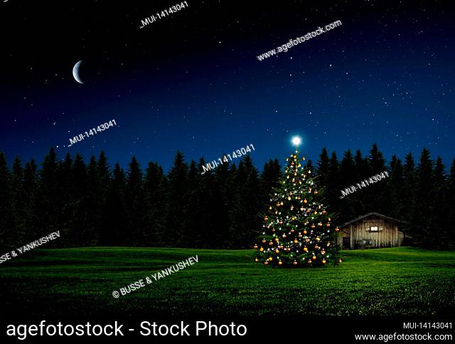 decorated fir tree in a green landscape at night