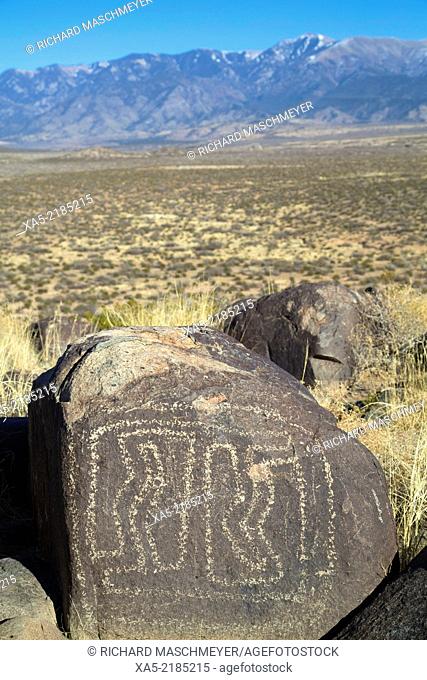 USA, New Mexico, Bureau of Land Management, Three Rivers Petroglyph Site, rock carvings created by the Jornada Mogollon people during the 15th Century