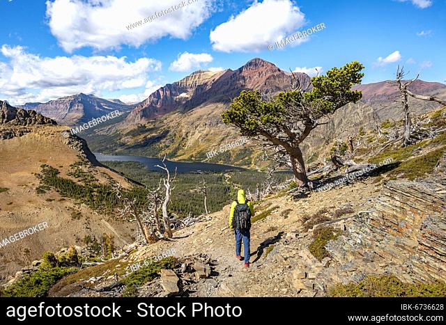 Hikers on the trail to Scenic Point, view of Two Medicine Lake with mountain peak Rising Wolf Mountain, Glacier National Park, Montana, USA, North America