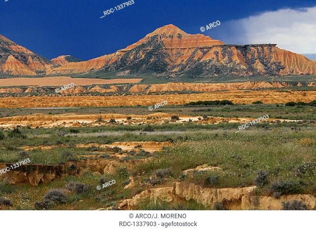 Bardenas Reales, Typical rock formation, Arguedas, Bardenas Reales Natural Park. Biosphere Reserve. Navarre. Spain