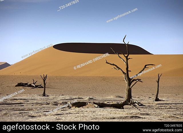Big Mama Dune in Sossusvlei Area, Namib Naukluft Park, Namibia