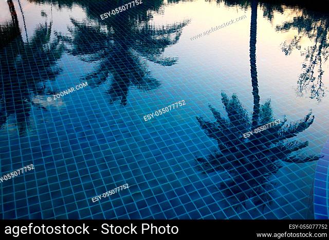 Urlaubsimpressionen, Schöne Spiegelung der Palmen im Pool auf den Malediven