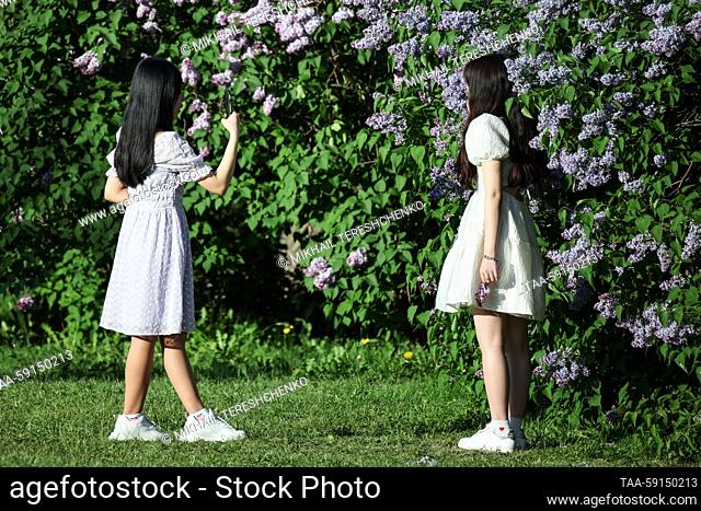RUSSIA, MOSCOW - MAY 17, 2023: A woman poses for a photograph by a blooming lilac tree at the Kolomenskoye Museum-Reserve. Mikhail Tereshchenko/TASS