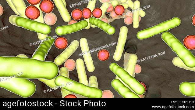 Biofilm of antibiotic resistant bacteria. Rod-shaped and spherical bacteria. Escherichia coli, Pseudomonas, Mycobacterium tuberculosis, Klebsiella