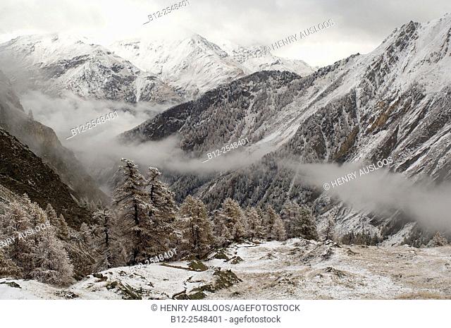 Italy, Alps, Aosta, National Park Gran Paradiso in winter