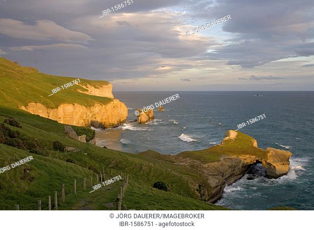 Coast of the South Pacific Ocean at Tunnel Beach illuminated by warm evening light, South Island, New Zealand