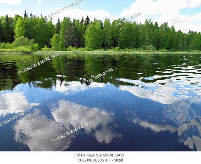 Trees reflected in still lake